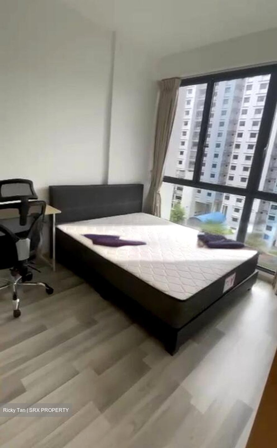 La Fiesta (D19), Condominium #502369831